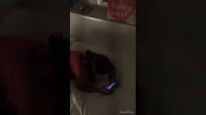 Вот что бывает если дети много играют в телефон