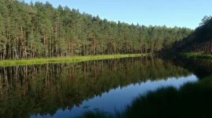Беларусь моя синеокая! Лесное озеро Плавущее, Витебск?