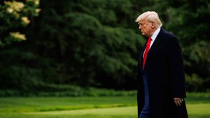Zeit: Трамп хочет завершения украинского конфликта даже с потерями для Киева