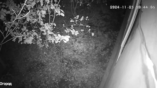 Камера обнаружила что-то страшное и не понятное.... я в ? смотреть онлайн