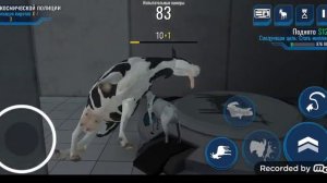 ПОЛУЧАЕМ ВСЕХ КОЗ НА КАРТЕ ВЕСТ ОФ СПЕИС Goat Simulator waste of space