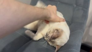 Стоит ли  покупать Macbook Pro 2017  В 2025 ГОДУ. Почему я перехо?