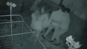 Квест «искатели могилы» Москва 2023