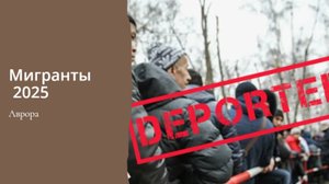 #Аврора #гадание Мигранты 2025