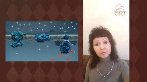 Как сохраняется живое содержимое зеленой растительной клетки в Солнечном Комплексе.