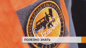 С начала года волонтерам поисково-спасательного отряда «Лиза-Алерт» поступило 46 заявок