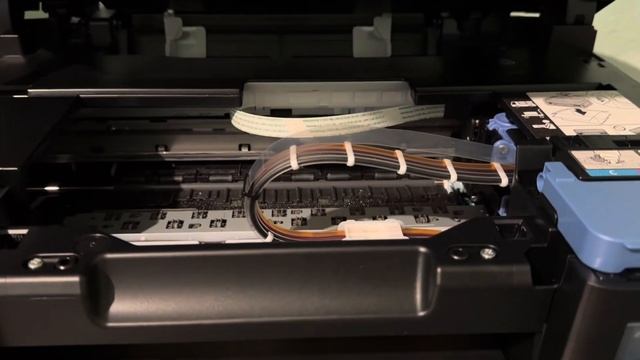 24 июля 2024 г. смотреть онлайн