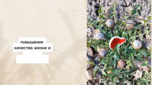 Мифы о ландшафтной арт-терапии
