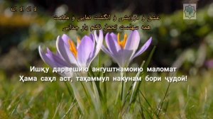 Ман надонистам аз аввал ки ту бемеҳру вафоӣ... Ғазале з?