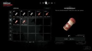 The Long Dark 26