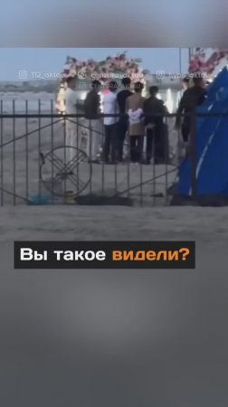 Вы такое видели?