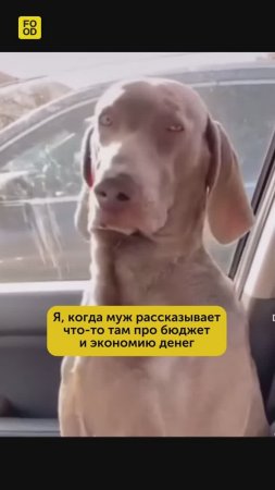 Кто узнал себя?😀 #foodru #рецепты #юмор