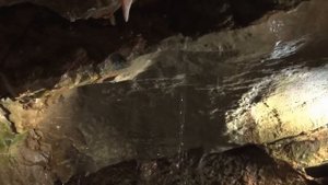 🏚️ Загадочные пещеры древних людей – тайны неандерт