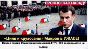 «Цинк и круассаны» Макрон в УЖАСЕ! Первая партия Французских наемников ГРУЗ-200 возвращается