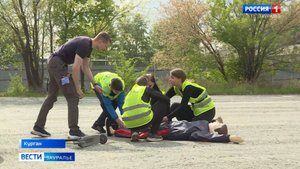 Один день в роли автоинспектора