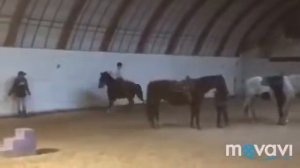 Конный спорт влог!!!