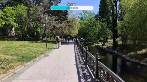 Продолжаю гулять