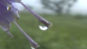 World inside drop 7 - Мир в капле 7