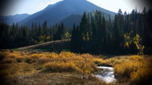 За горами, за лесами (phonk edit) | 1 час (Perfect loop)