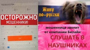 мошенница звонит от компании билайн