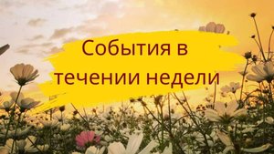 События в течение недели - 16