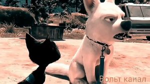 Вольт клип NATURAL