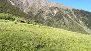 Тлярата, село Хамар