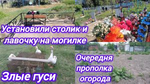 УБОРКА НА МОГИЛКЕ. СТАВИМ СТОЛИК СО СКАМЕЙКОЙ. ОГОРОД. ГУСИ.