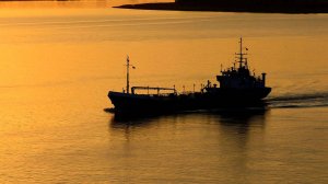 Контейнеровоз с тоннами мазута и дизеля затонул у берегов Индии