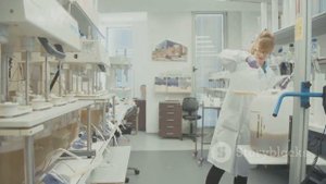 Эксперимент в Торонто: физики зафиксировали отрицате?