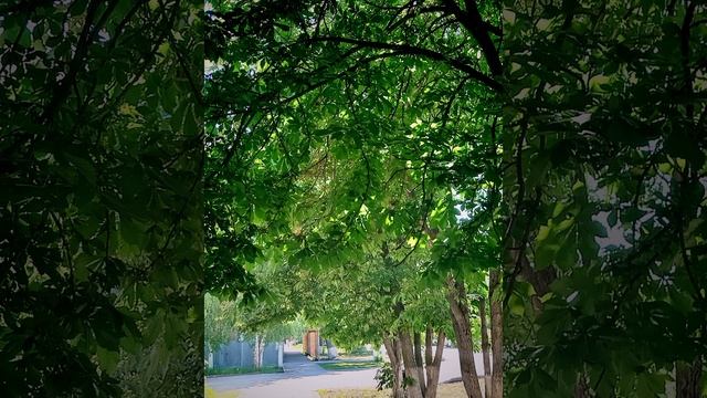 Цветы для весеннего настроения
