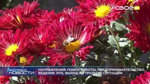 Экспресс новости на Своём от 26 мая 2025г. 16:30