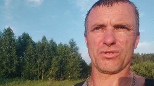 покос, жара и комары