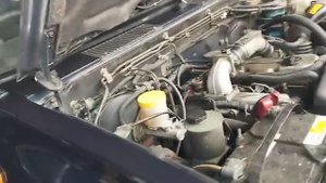 5390.mp4