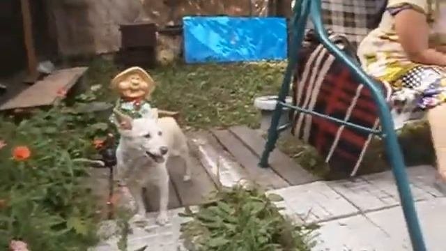 Капитан