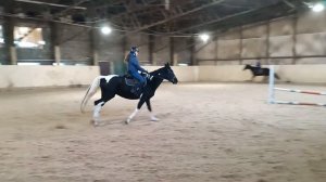 Тренировки по конкуру Неклюдовой Софии