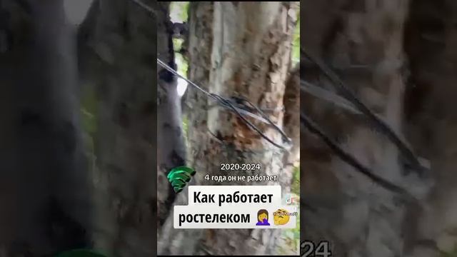 самая отстойная компания жуликов Ростелеком связь .По смотреть онлайн