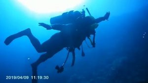 Шарм-Эль-Шейх 2019 / Sharm el-Sheikh 2019