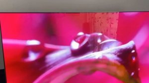 Телевизор LG 43QNED80T6A 2024