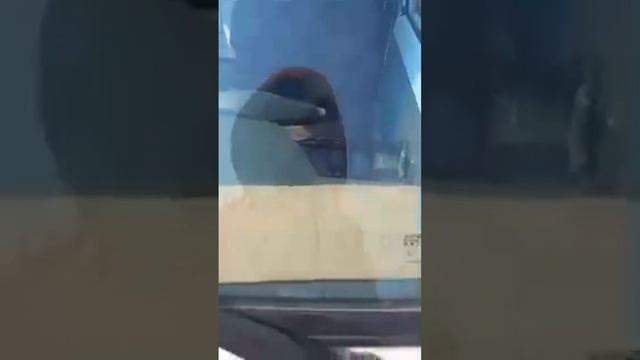 Мошинбозори худжанд хучандELYOR TV ЭЛЁР ТВ в прямом эфир? смотреть онлайн