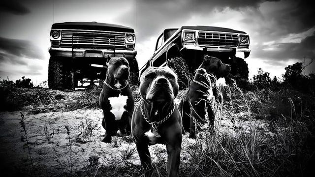 ПАЦАНСКИЕ ТРЕКИ НОВИНКИ МУЗЫКИ В МАШИНУ СБОРНИК НА РА? смотреть онлайн