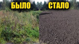 Как избавиться от сорняков, травы и даже пней навсегда! Просто и быстро!