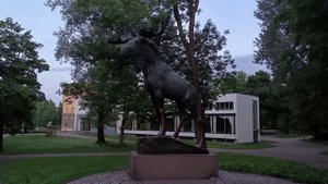 ВЫБОРГ- ВЛЮБИТЬСЯ ЗА 2 ДНЯ!  Дорога в Выборг , парковки, ?