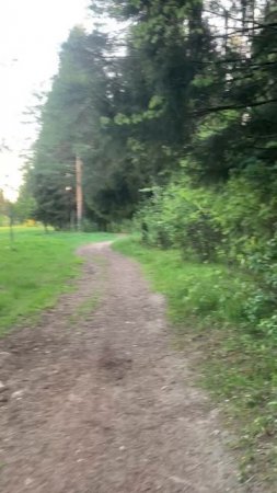 Walking through the beautiful village: легко дышится в лесу