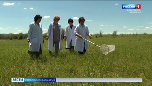 В Кабардино-Балкарии продолжают мониторинг саранчовых вредителей