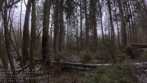 Dji action 5 Pro & Pocket 3 & Dji mic mini & Boya BY-V10 А что  mic mini записывает ?