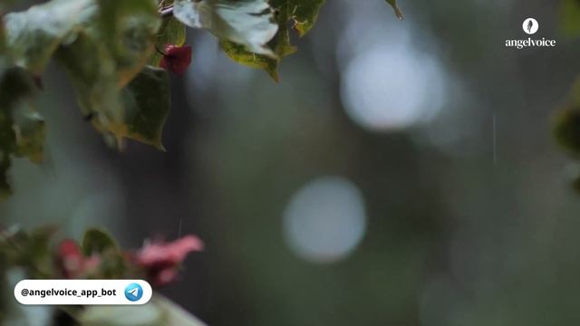 Медитация обновления и исцеления нервной системы 🧠✨ смотреть онлайн