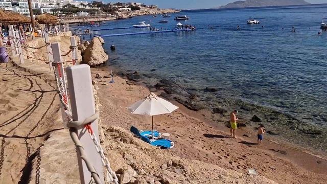 Шарм-эль-Шейх 2025 год бухта Шаркс Бей #шармэльшейх #sharksba