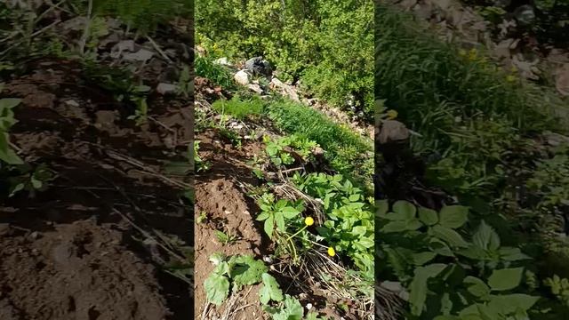 VID_20250521_130447