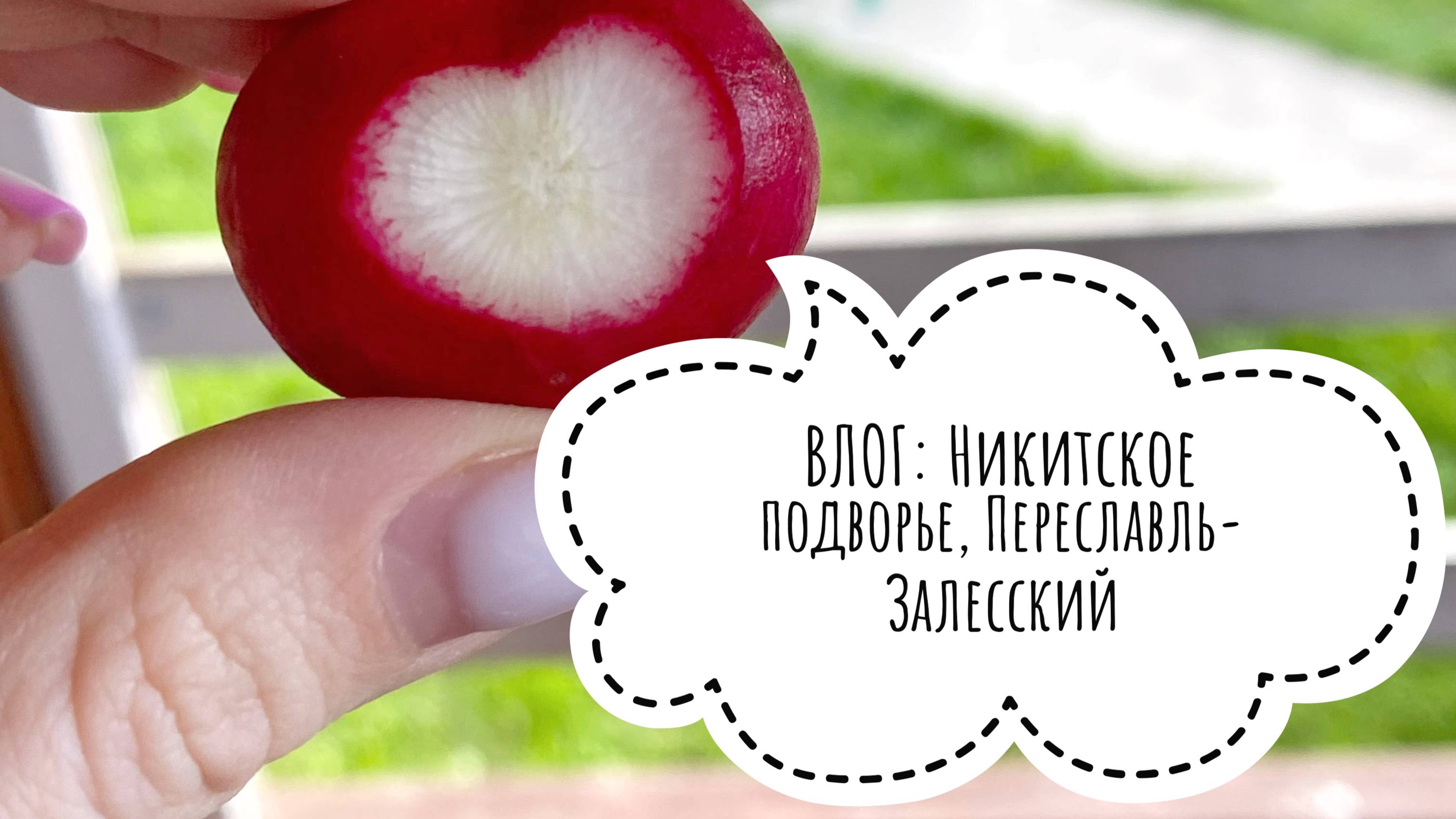 Никитское подворье. Переславль-Залесский. #путешествие #отдых #отдыхнаприроде #отпуск